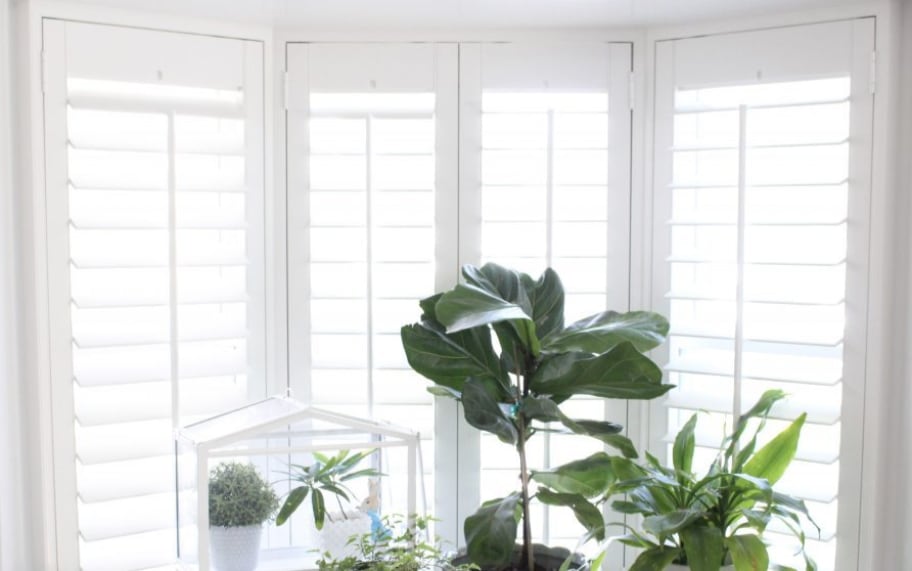 Bay Window Benefits